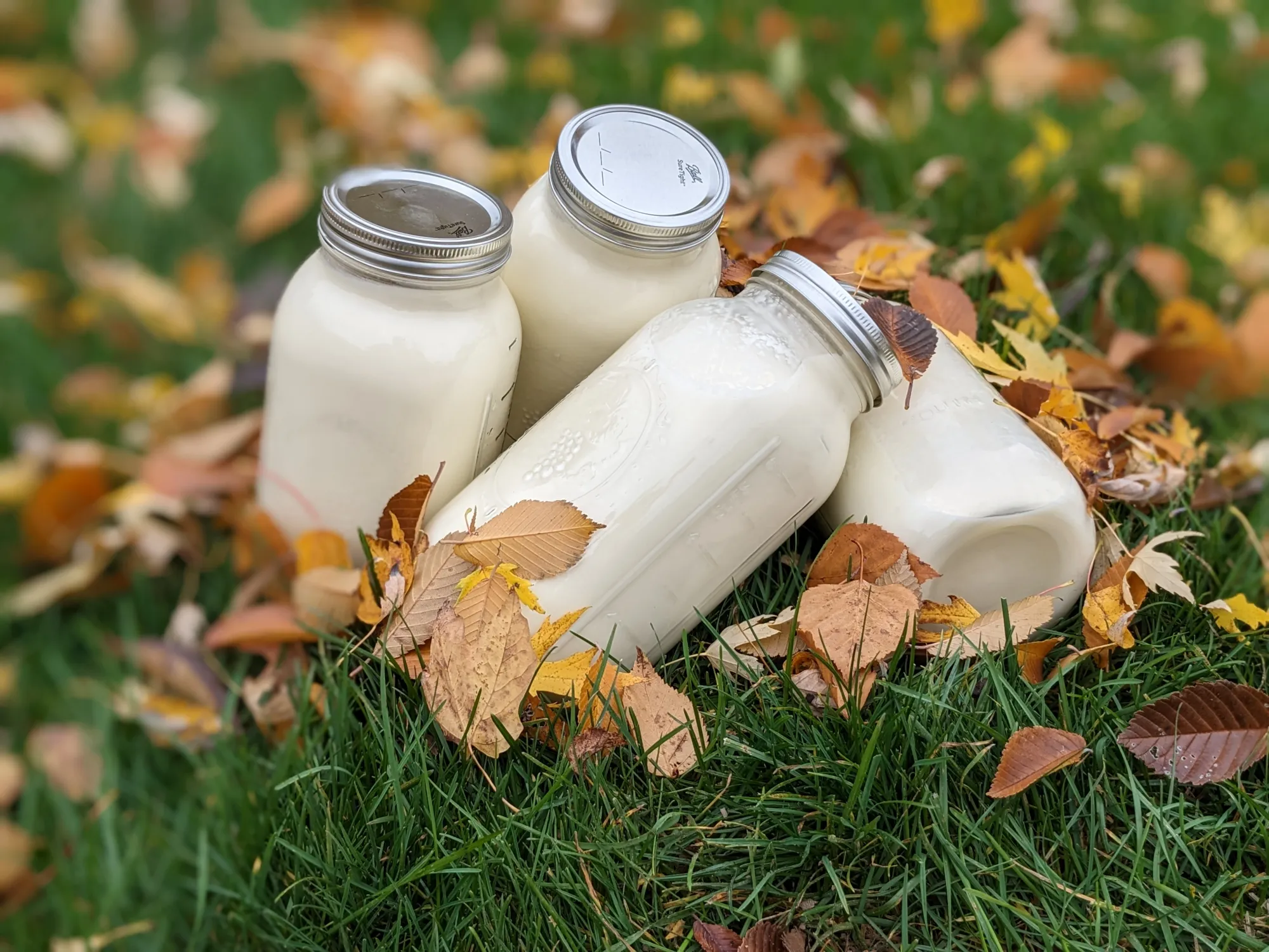 How To Find Raw Milk In Wisconsin